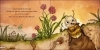 Buchcover und Innenansicht für das Buch: Mein erstes Naturbuch - Die Hummel