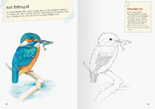 Buchcover und Innenansicht für das Buch: Mein großes Natur-Malbuch