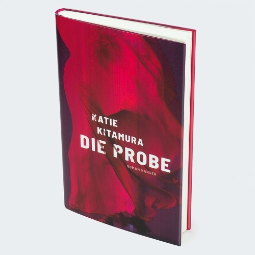 Buchcover und Innenansicht für das Buch: Audition