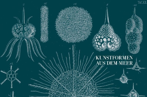 Buchcover und Innenansicht für das Buch: Ernst Haeckel