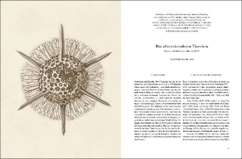 Buchcover und Innenansicht für das Buch: Ernst Haeckel