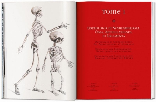 Buchcover und Innenansicht für das Buch: Bourgery. Atlas of Human Anatomy and Surgery