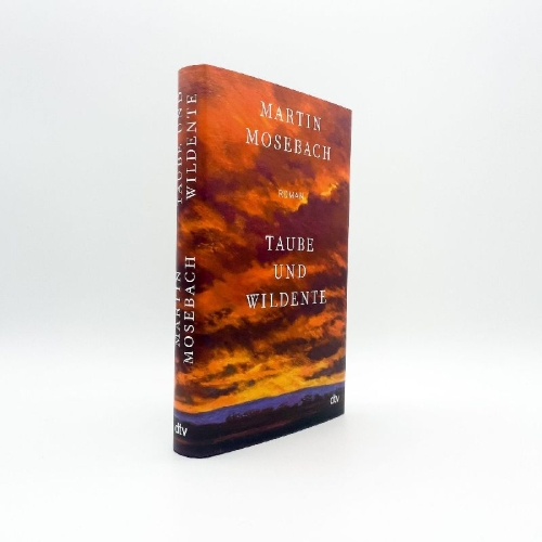 Buchcover und Innenansicht für das Buch: Taube und Wildente