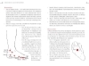 Buchcover und Innenansicht für das Buch: Fuß-Qigong