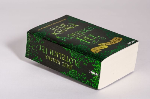 Buchcover und Innenansicht für das Buch: Plötzlich Fee