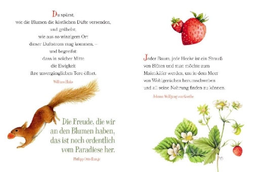 Buchcover und Innenansicht für das Buch: Der Weg zum Glück führt durch den Garten