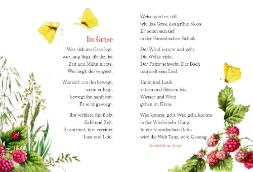 Buchcover und Innenansicht für das Buch: Der Weg zum Glück führt durch den Garten