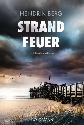 Buchcover und Innenansicht für das Buch: Strandfeuer