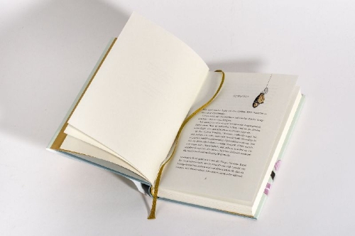 Buchcover und Innenansicht für das Buch: Das Jahr der Wunder