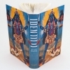 Buchcover und Innenansicht für das Buch: Identitti