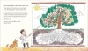 Buchcover und Innenansicht für das Buch: Green: The Story of Plant Life on Our Planet