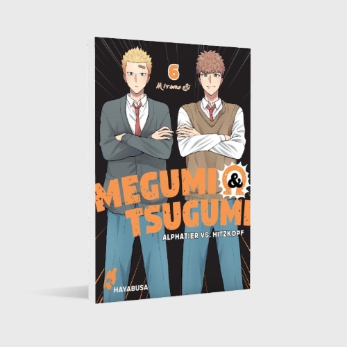 Buchcover und Innenansicht für das Buch: Megumi to Tsugumi