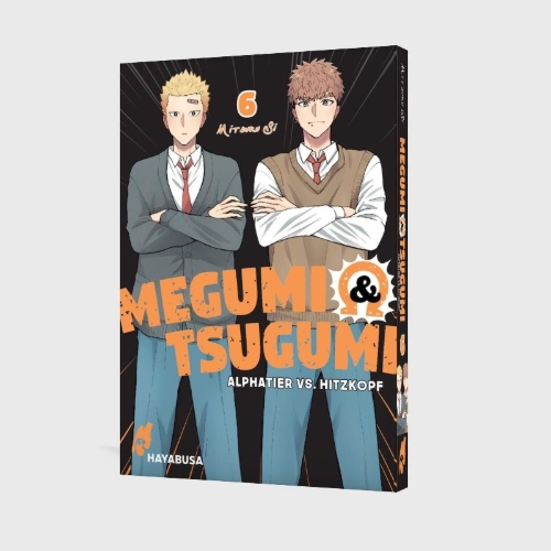 Buchcover und Innenansicht für das Buch: Megumi to Tsugumi