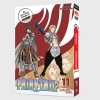 Buchcover und Innenansicht für das Buch: Fairy Tail