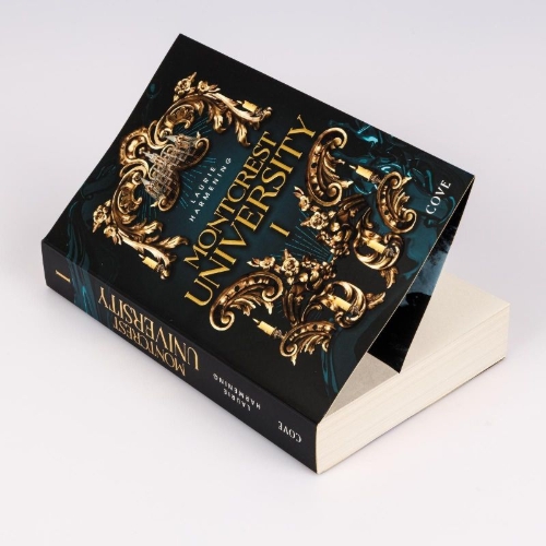 Buchcover und Innenansicht für das Buch: Montcrest University 1: Lessons in Evil