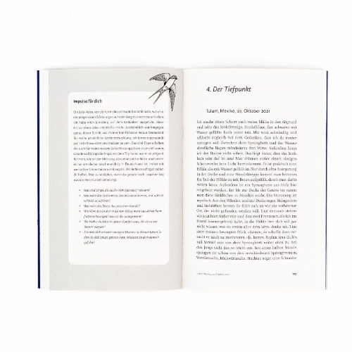 Buchcover und Innenansicht für das Buch: Fliegen lernen