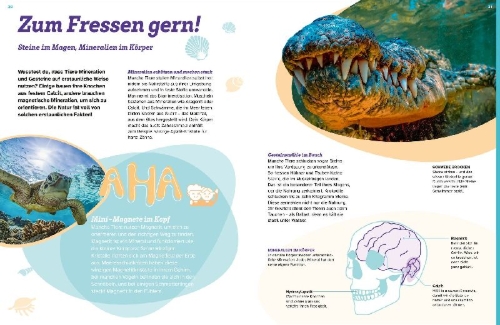 Buchcover und Innenansicht für das Buch: WAS IST WAS Mineralien und Gesteine. Schätze der Natur