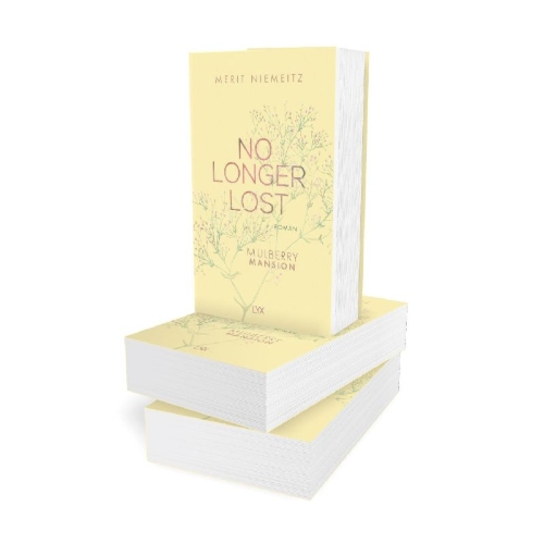 Buchcover und Innenansicht für das Buch: No Longer Lost - Mulberry Mansion