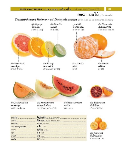 Buchcover und Innenansicht für das Buch: PONS Bildwörterbuch Thai