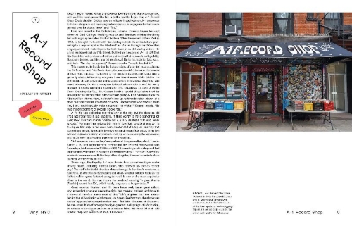 Buchcover und Innenansicht für das Buch: Vinyl NYC
