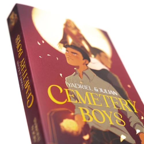 Buchcover und Innenansicht für das Buch: Cemetery Boys