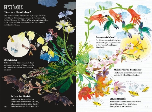 Buchcover und Innenansicht für das Buch: The Big Book of Blooms