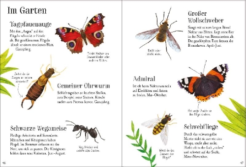 Buchcover und Innenansicht für das Buch: Mein Usborne-Naturführer