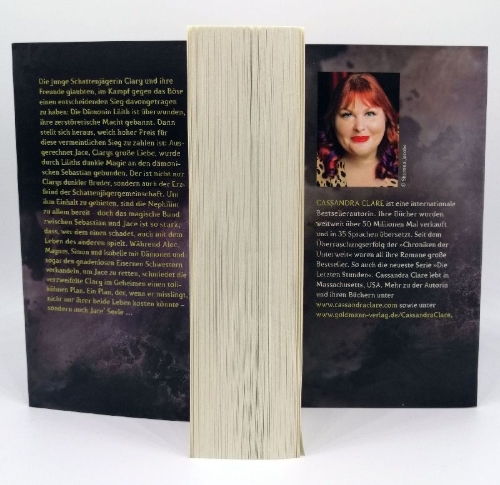 Buchcover und Innenansicht für das Buch: City Of Lost Souls