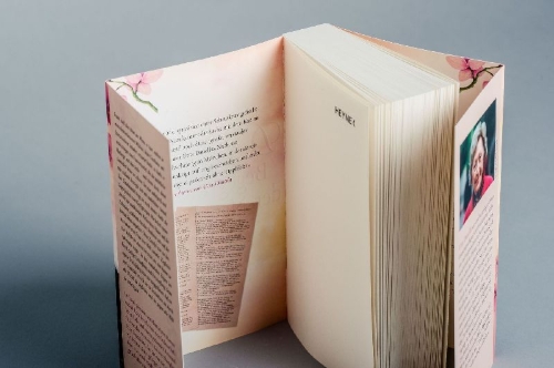 Buchcover und Innenansicht für das Buch: Begegnung in der Nacht
