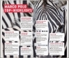 Buchcover und Innenansicht für das Buch: MARCO POLO Reiseführer Südafrika