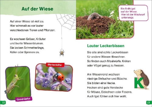Buchcover und Innenansicht für das Buch: WAS IST WAS Erstes Lesen easy! Band 11. Raus in die Natur