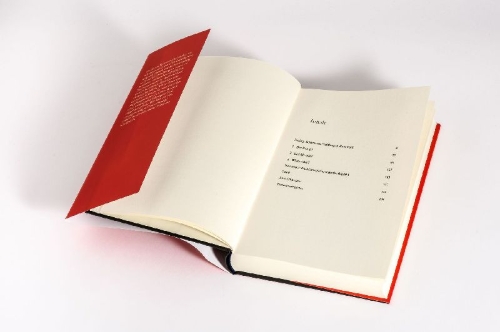 Buchcover und Innenansicht für das Buch: Das amerikanische Beben