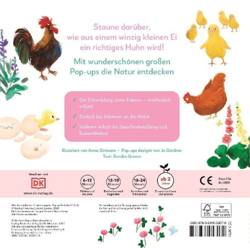 Buchcover und Innenansicht für das Buch: Mein Pop-up-Buch zum Staunen. Wo kommst du her, kleines Küken?