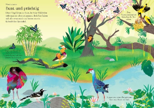 Buchcover und Innenansicht für das Buch: Mein Immer-wieder-Stickerbuch: Vögel