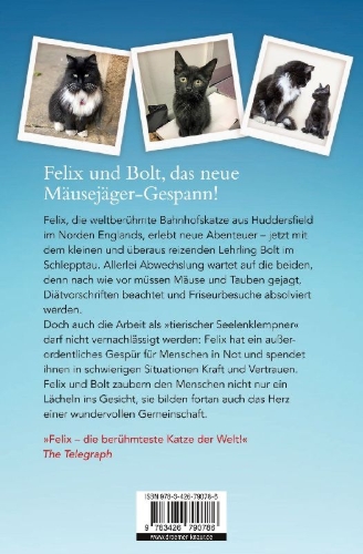 Buchcover und Innenansicht für das Buch: Mit Volldampf voraus, Felix!