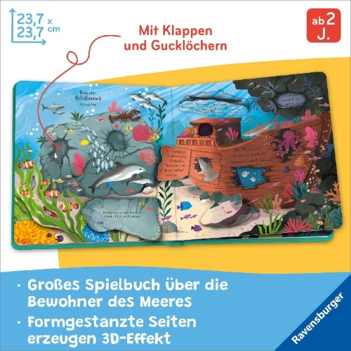 Buchcover und Innenansicht für das Buch: Let's explore: The Ocean