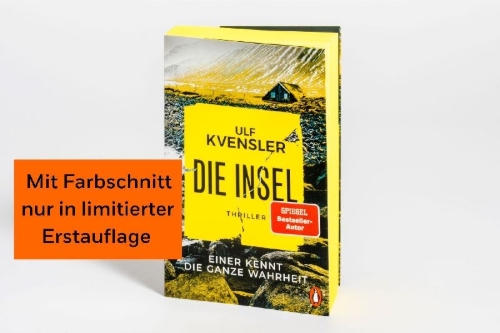 Buchcover und Innenansicht für das Buch: Brandmannen
