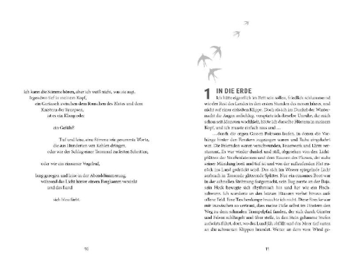 Buchcover und Innenansicht für das Buch: The Wild Silence