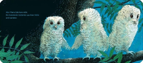 Buchcover und Innenansicht für das Buch: Owl Babies