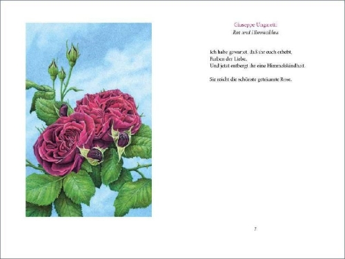 Buchcover und Innenansicht für das Buch: »Ich wollt' dein Bett mit einer Rose schmücken«
