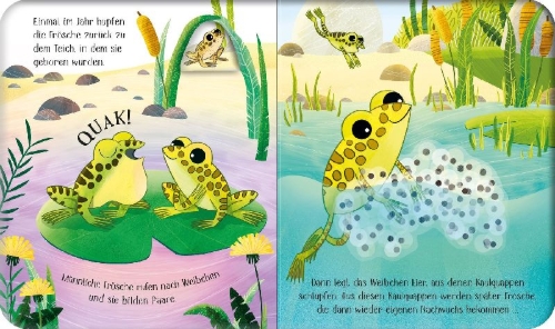 Buchcover und Innenansicht für das Buch: Schau mal, wie ich wachse! Vom Laich zum Frosch