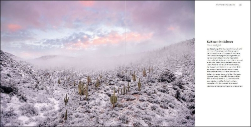 Buchcover und Innenansicht für das Buch: Weather Photography