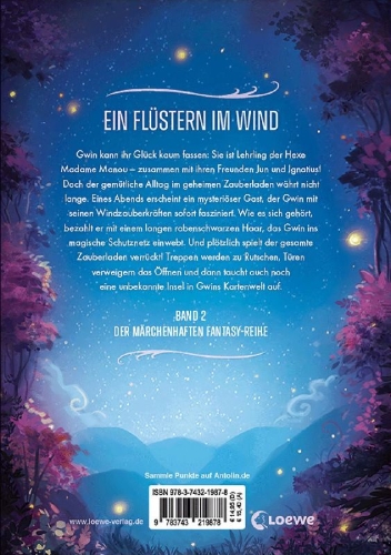 Buchcover und Innenansicht für das Buch: Gwin und die Nacht des Kometen (Band 2)