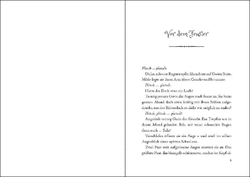 Buchcover und Innenansicht für das Buch: Gwin und die Nacht des Kometen (Band 2)