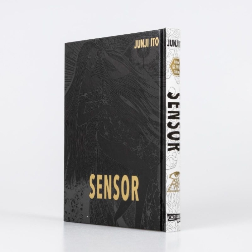 Buchcover und Innenansicht für das Buch: Sensor