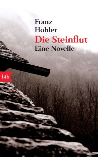 Buchcover und Innenansicht für das Buch: Die Steinflut
