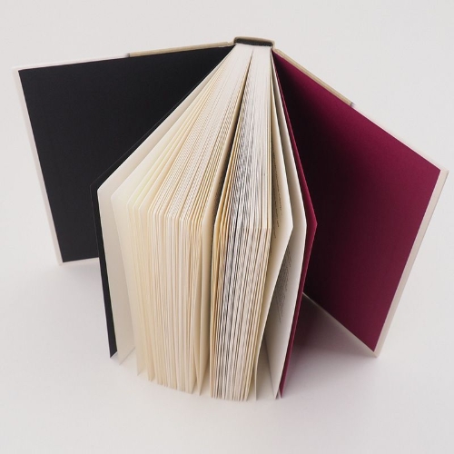 Buchcover und Innenansicht für das Buch: DADDY