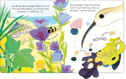 Buchcover und Innenansicht für das Buch: Guck mal, wer da ist! An der Küste