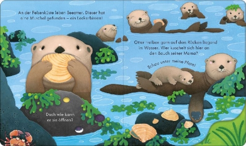 Buchcover und Innenansicht für das Buch: Guck mal, wer da ist! An der Küste