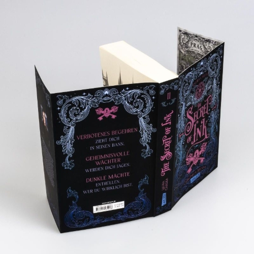 Buchcover und Innenansicht für das Buch: The Secret of Ink (Chronica Arcana 2)